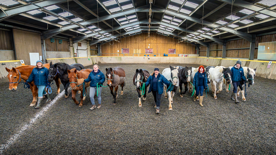 The stables team - Calvert Exmoor 1.jpg